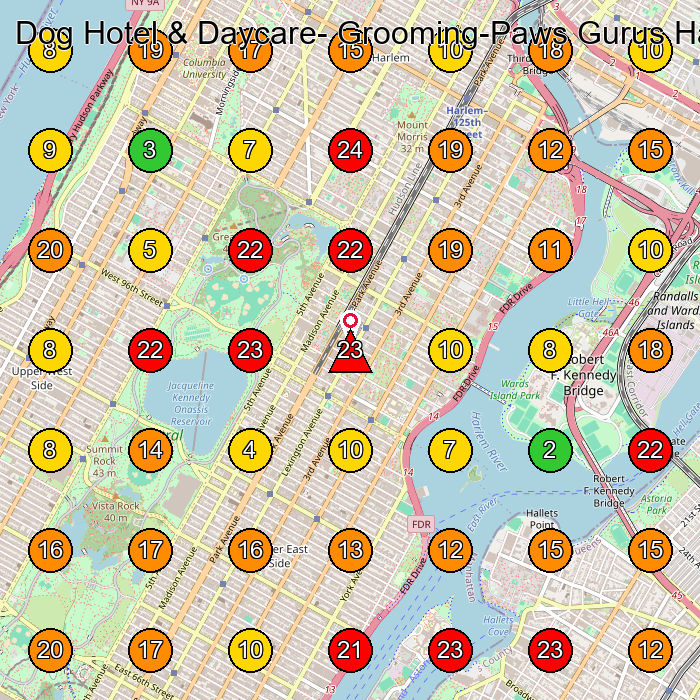 Dog Hotel & Daycare- Grooming-Paws Gurus Harlem Dog Day Care Center GeoGrid ranking map for New York NY